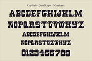 La Luna - Display Typeface, a Slab Serif Font by ZimlichMediaDesign (Thumbnail 2 of 5)