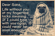 Dear Sans Family, a Sans Serif Font by Stiggy & Sands (Thumbnail 3 of 5)