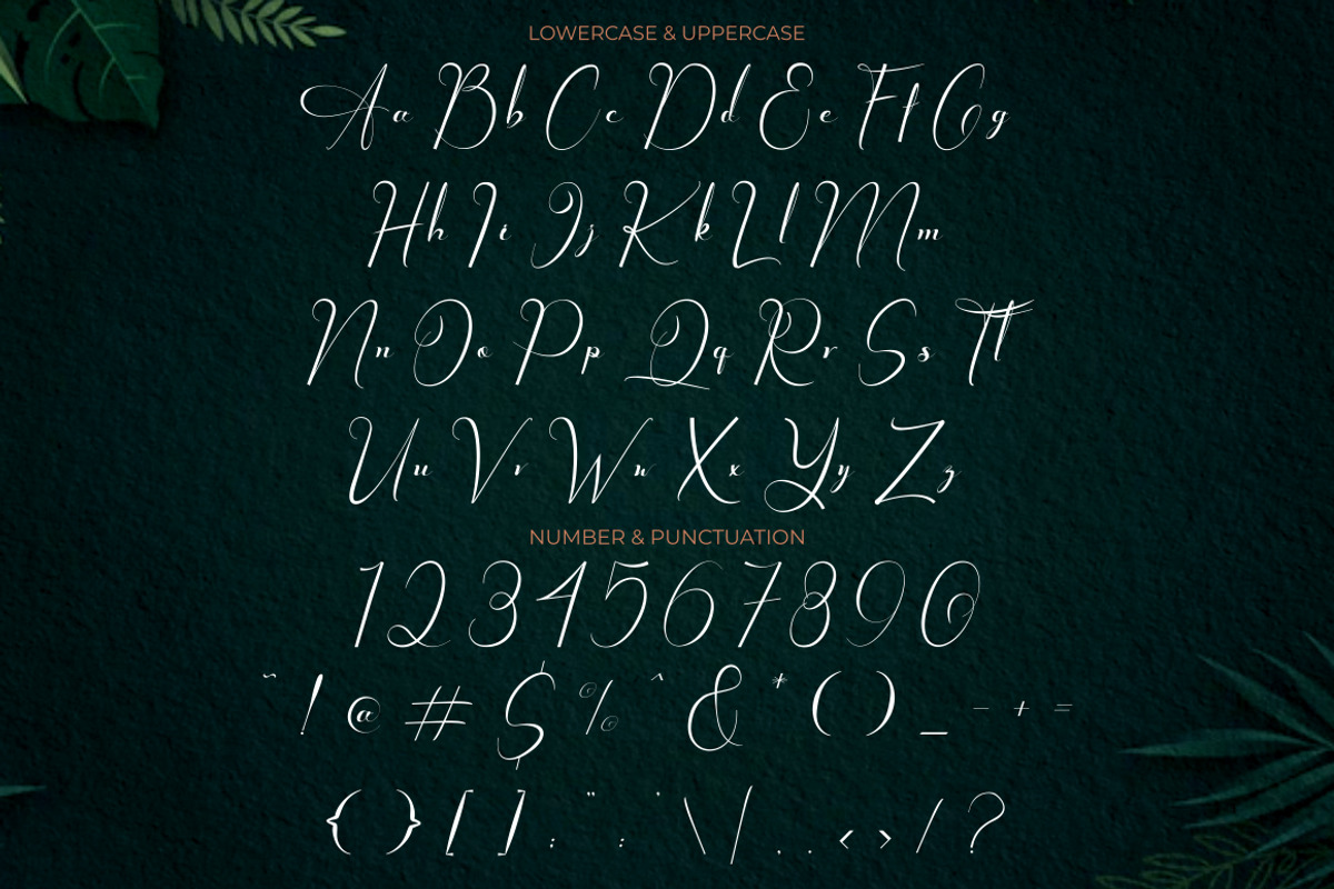 Chester Chesire - Elegant Font Duo, a Font by PutraCetol Studio (Photo 10 of 13)