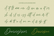 Williamson - Luxury Signature Font, a Script Font by StringLabs (Thumbnail 10 of 12)