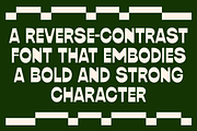 Rumani - Reverse Contrast Font, a Sans Serif Font by Pekotype (Thumbnail 2 of 15)