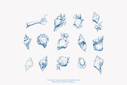 seashell clipart ocean sketch set, a Decorative Illustration by Patishop Art (Thumbnail 8 of 9)