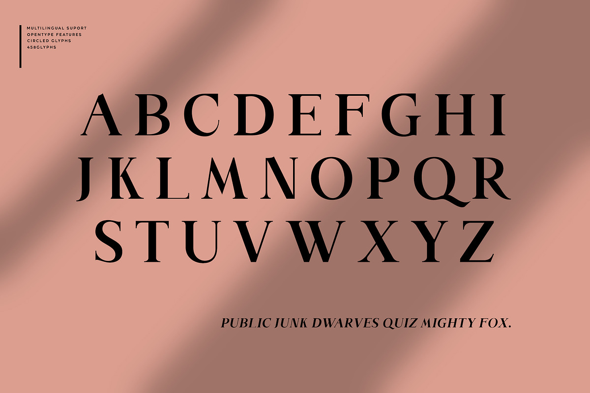 Along Serif BSC Font Family preview 5