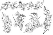 Line Art Floral Clipart, a Decorative Illustration by AW Studios (Thumbnail 4 of 11)