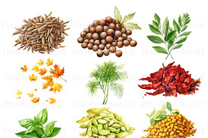 Watercolor Spice Clipart Pack