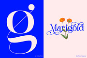 Barfiola Typeface, a Serif Font by MJtypefoundry (Thumbnail 10 of 14)