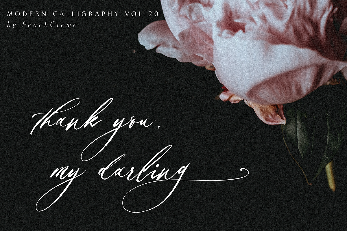 Balzak // Organic Calligraphy, a Script Font by PeachCreme (Photo 12 of 12)
