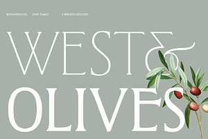West and Olives (6 fonts + variable), a Font by The Old Type Foundry