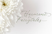 Mahogany Script, a Script Font by Areatype (Thumbnail 5 of 8)