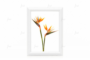 White styled frame isolated mockup