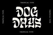 Display Font Collection, a Slab Serif Font by Tropical Type (Thumbnail 33 of 46)