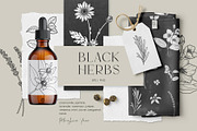 Black Herbs. Vector Set, an Object Graphic by PatrushevaYana (Thumbnail 1 of 6)