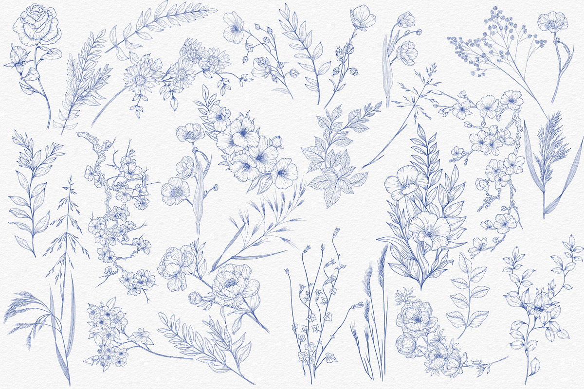 Line Art Floral Clipart, a Decorative Illustration by AW Studios (Photo 2 of 11)