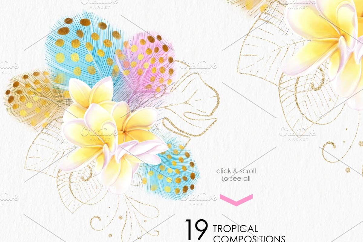 Tropic protea, watercolor clip art, a Seasonal Illustration by katmonne (Photo 4 of 9)