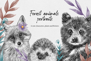 Forest Animals Portraits