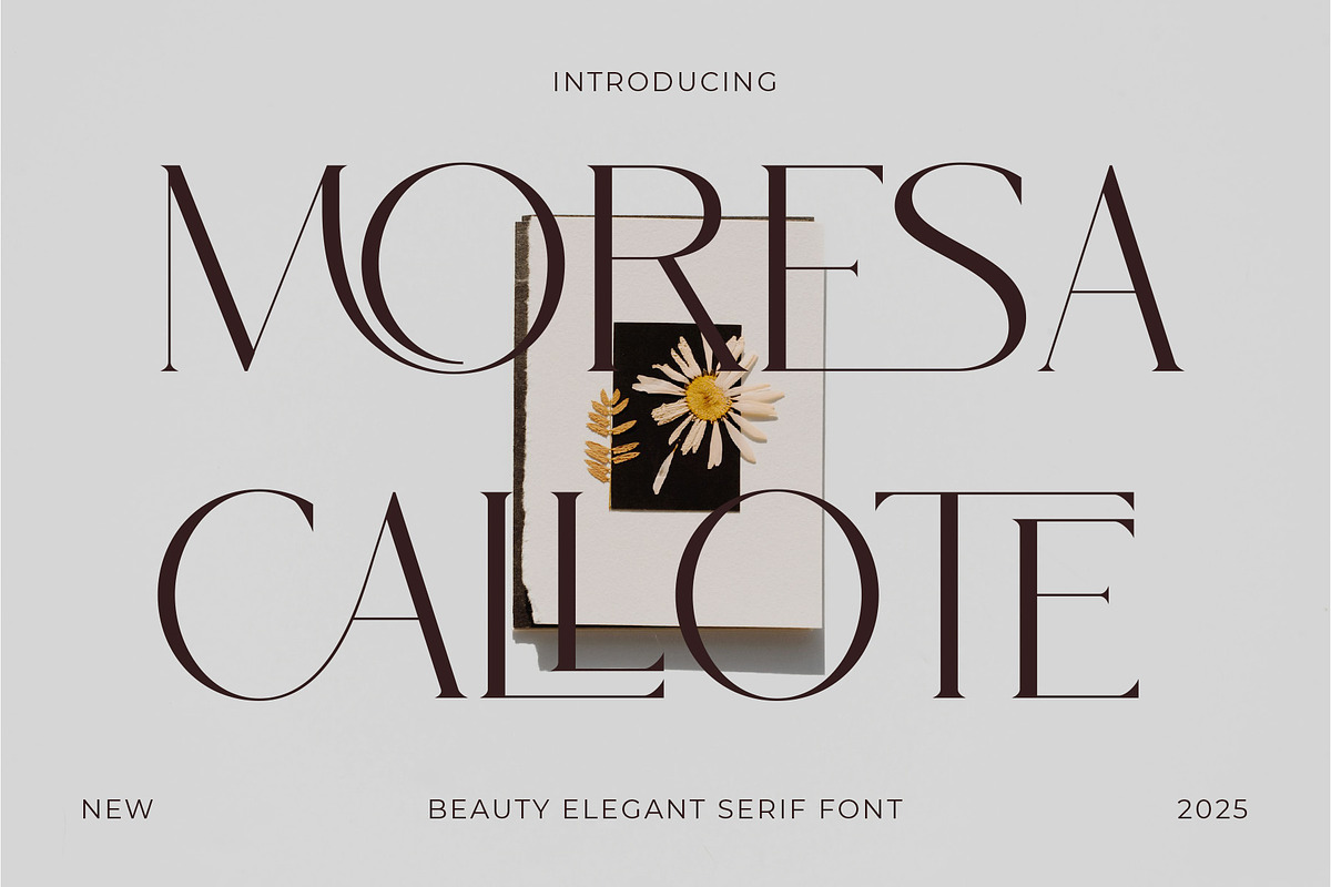 Moresa Callote - Beauty Elegant, a Serif Font by Muflieart (Photo 1 of 10)