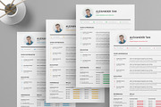 Resume, a Resume Template by Brochure-Market (Thumbnail 3 of 4)