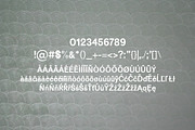 Beacher Sans Serif 6 Font Family, a Sans Serif Font by Creativetacos (Thumbnail 4 of 5)
