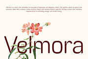 Gervaso Rounded, a Sans Serif Font by Craft Supply Co. (Thumbnail 2 of 8)