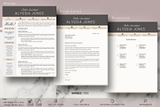 Sales Assistant Resume CV Template, a Resume Template by HIRED Design Studio (Thumbnail 4 of 11)