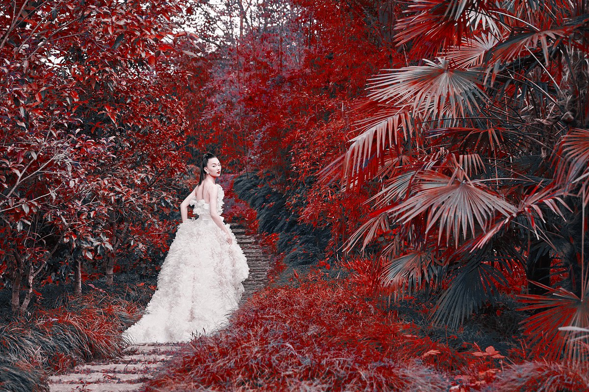 454 Infrared Fantasy Pro LUTs, a Preset Add-On by ShutterPro (Photo 18 of 48)