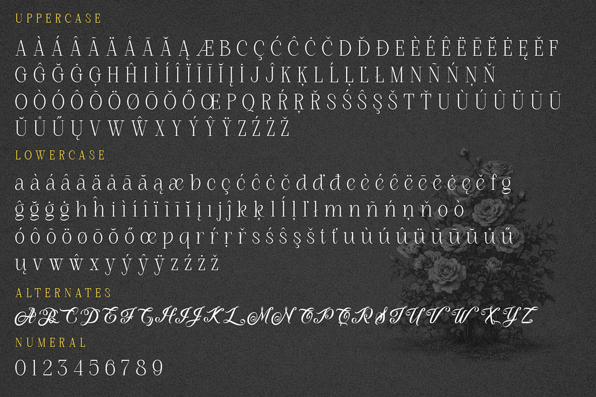 Roman Nemure - Romance Serif Font, a Serif Font by Muflieart (Photo 4 of 8)