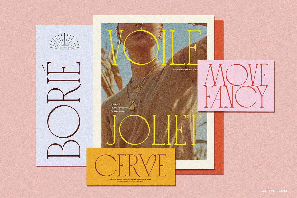 Loviena Rose - Stylish Serif, a Serif Font by CCS Type (Photo 9 of 25)