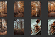 Cozy FALL Season (45 images), a Nature Photo by studiottander (Thumbnail 9 of 9)