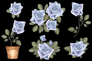 Watercolor blue roses flowers, a Decorative Illustration by Color_Brush (Thumbnail 3 of 5)