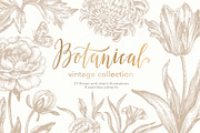 27 Vintage Botanical Illustrations, an Illustration by Anna Smirnova (Thumbnail 1 of 12)