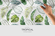 Tropical watercolor collection., a Pattern Graphic by BrushArtDesigns (Thumbnail 10 of 13)