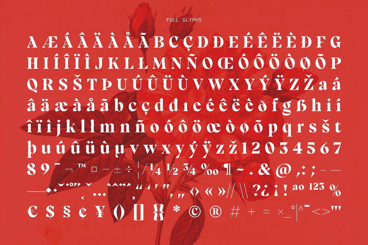 Grafiels - Elegant Classic Serif, a Serif Font by Variatype (Photo 8 of 8)