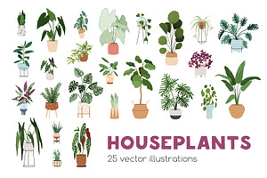 Trendy House Plants In Pots Set