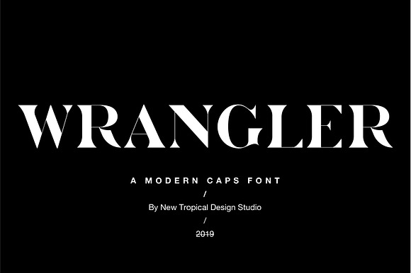 Wrangler - Modern Fashion Caps Font preview 8