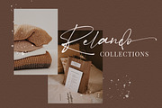 Betmo // Delight Calligraphy, a Script Font by Vultype Co. (Thumbnail 12 of 14)