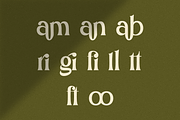 Argillites - Display Serif Font, a Serif Font by RockboyStd (Thumbnail 11 of 12)