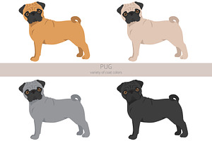 Pug Clipart