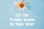 Brakeson - Display Font, a Script Font by AQR Studio (Thumbnail 9 of 9)