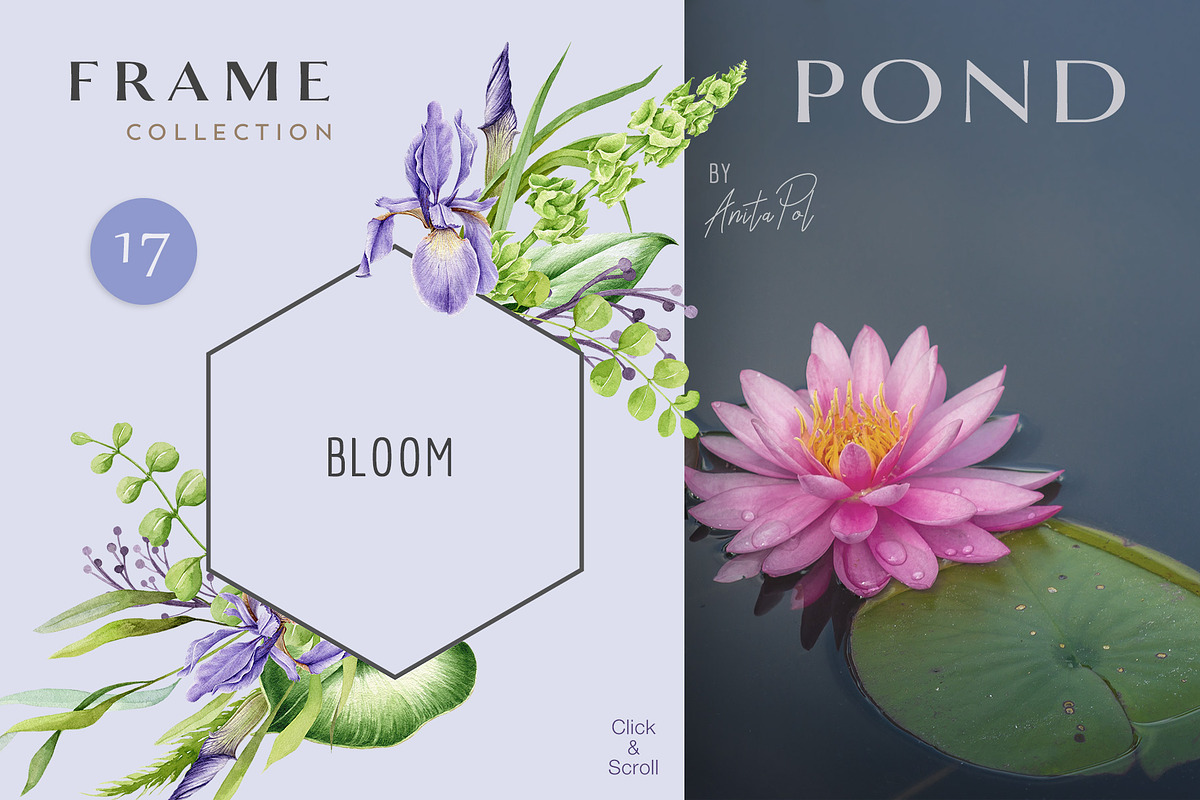 Botanical Watercolor Clipart Set, a Decorative Illustration by AnitaPol (Photo 4 of 21)