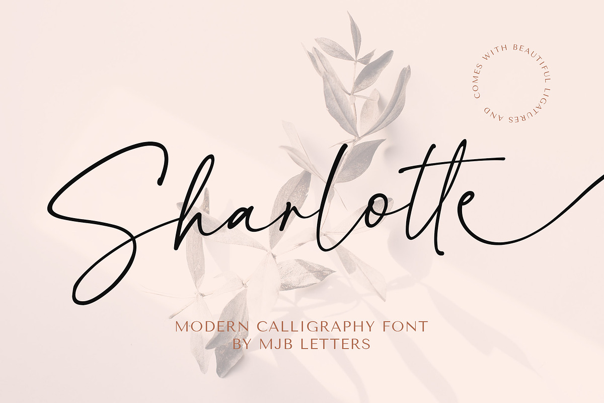 Sharlotte - Chic Calligraphy, a Script Font by MJB Letters (Photo 1 of 10)