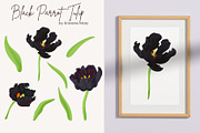 Black Parrot Tulip flower Vector, a Seasonal Illustration by Universe Mary (Thumbnail 3 of 7)