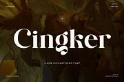 Cingker Modern Display Serif Font, a Serif Font by Perfectype (Thumbnail 1 of 8)