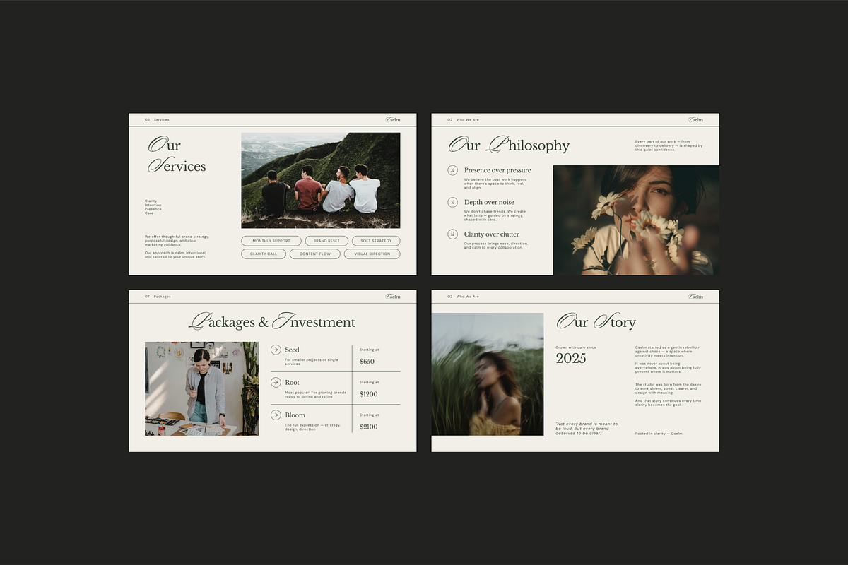 CAELM Services Pricing Guide | CANVA preview 6