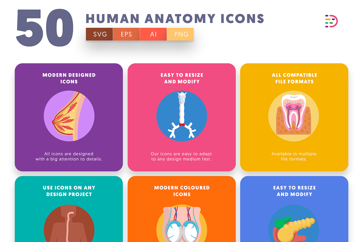 50 Human Anatomy Icons, an Icon by Dighital (Photo 6 of 10)