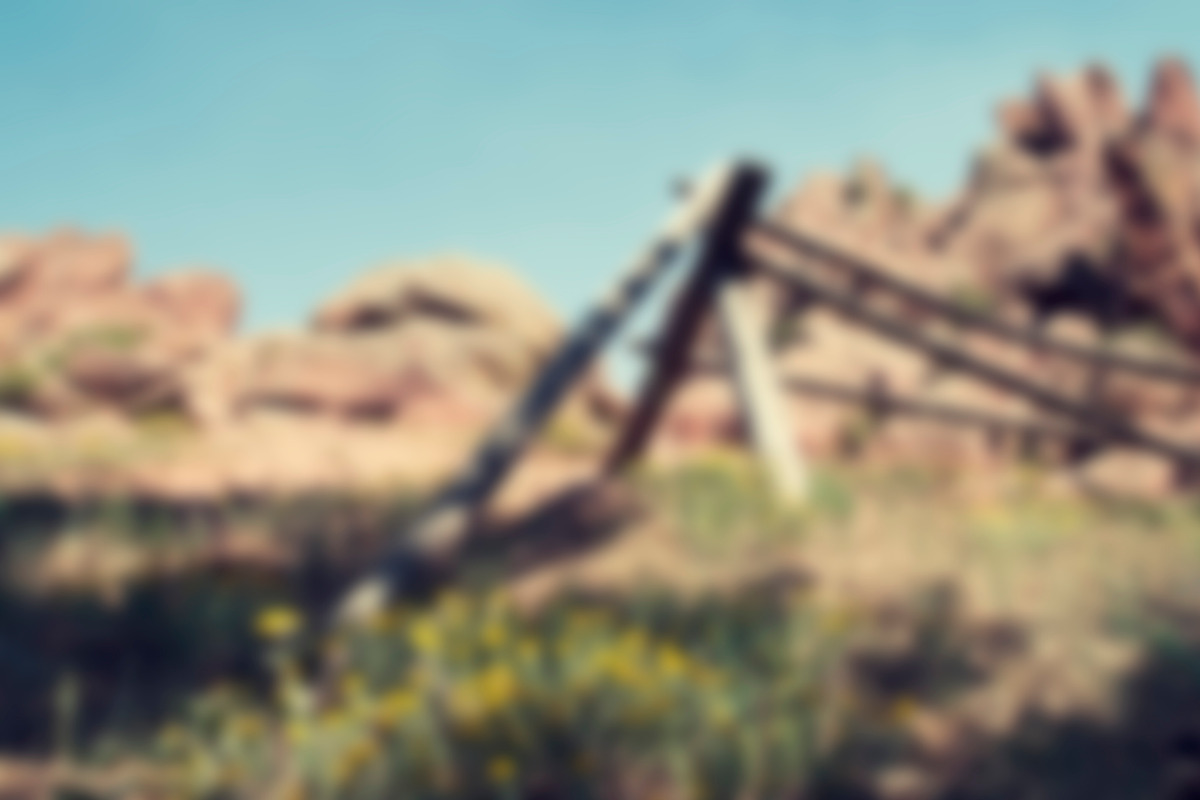 8 Blurred Landscape Images preview 2