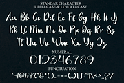 Western, a Handwritten Font by FreshTypeINK (Thumbnail 4 of 7)