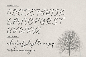 Pasttemy Monoline Stylish Script