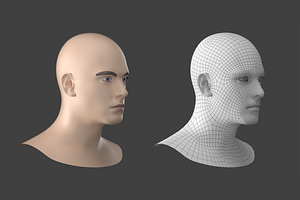 Natural Male Head 01 Generic Mesh