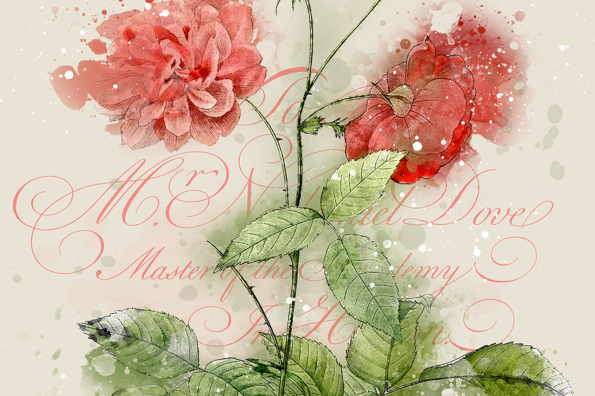 Watercolor Roses Vintage Overlays, an Illustration by ephemoire (Photo 3 of 8)
