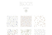 BLOOM Watercolor floral collection, a Decorative Illustration by Kreker Kate (Thumbnail 7 of 9)